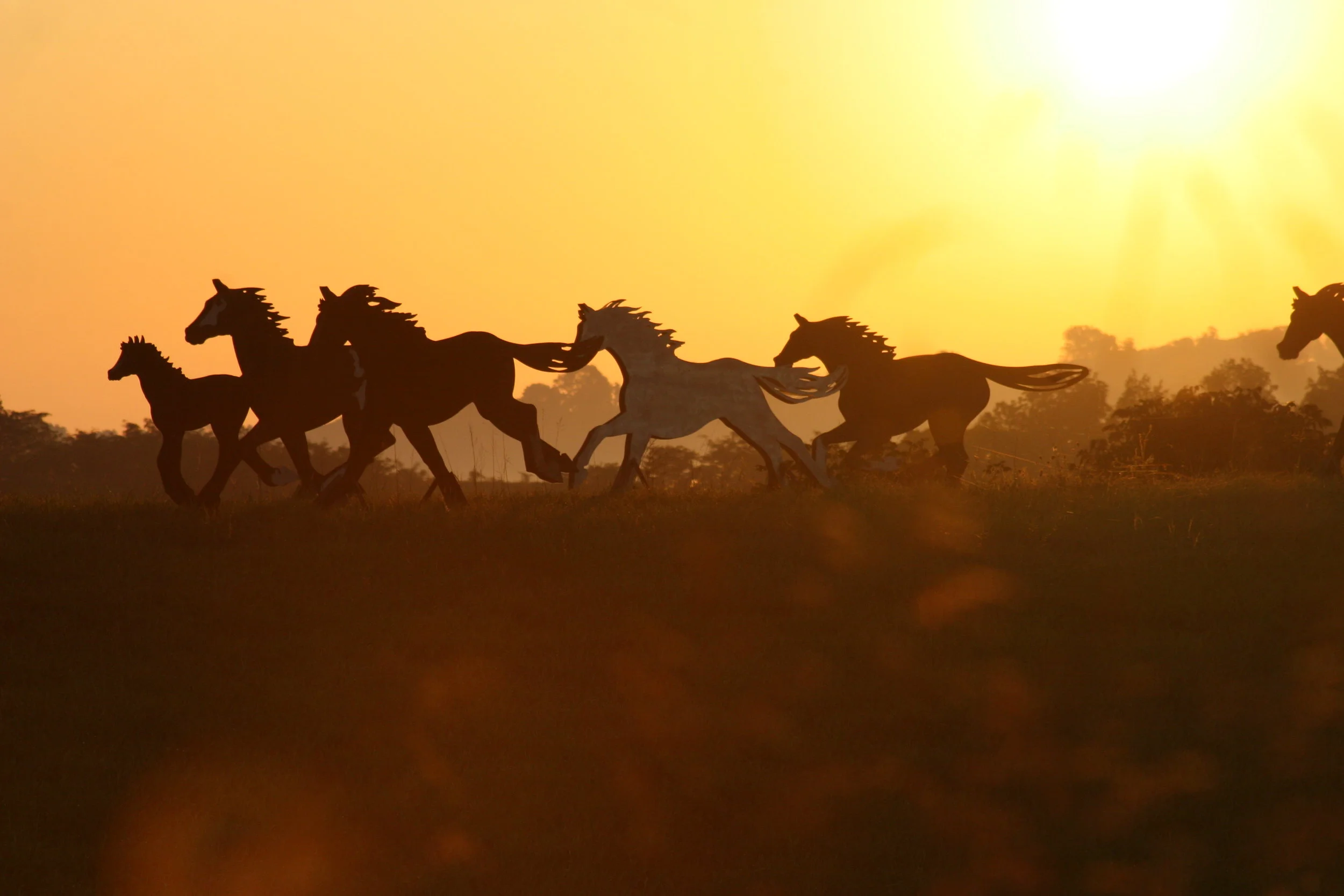 Steel Stampede — Douwe Studios