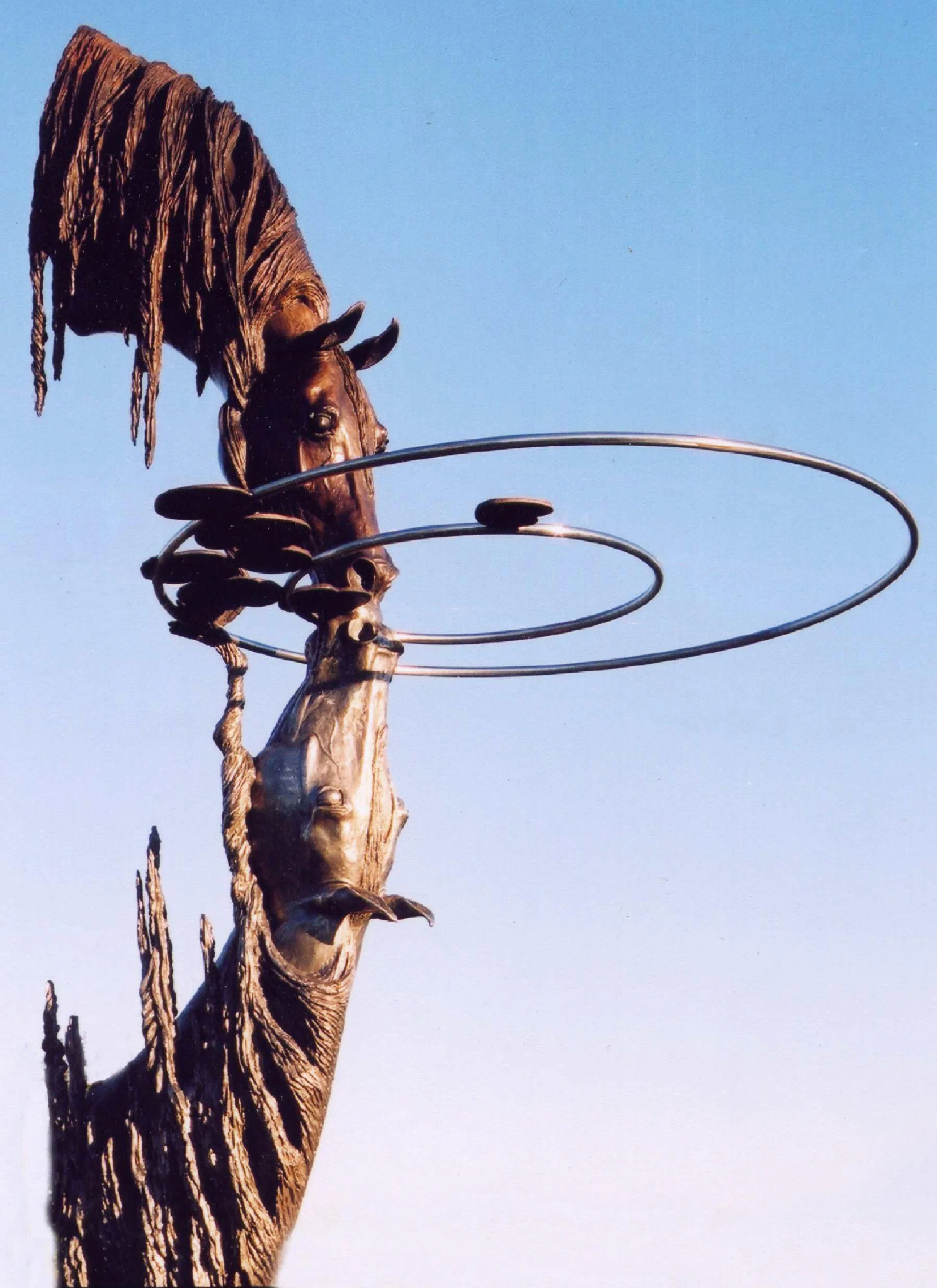 Reflections – life scale