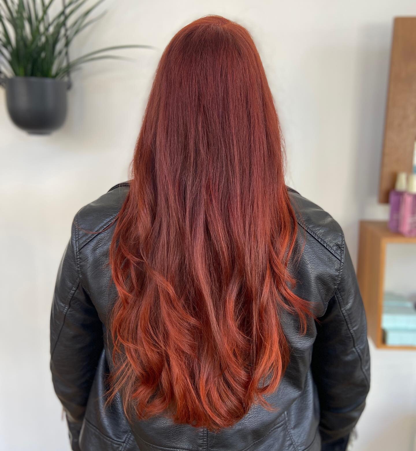 We LOVE our coppers and reds by @elvis_tess_the_mess 😍