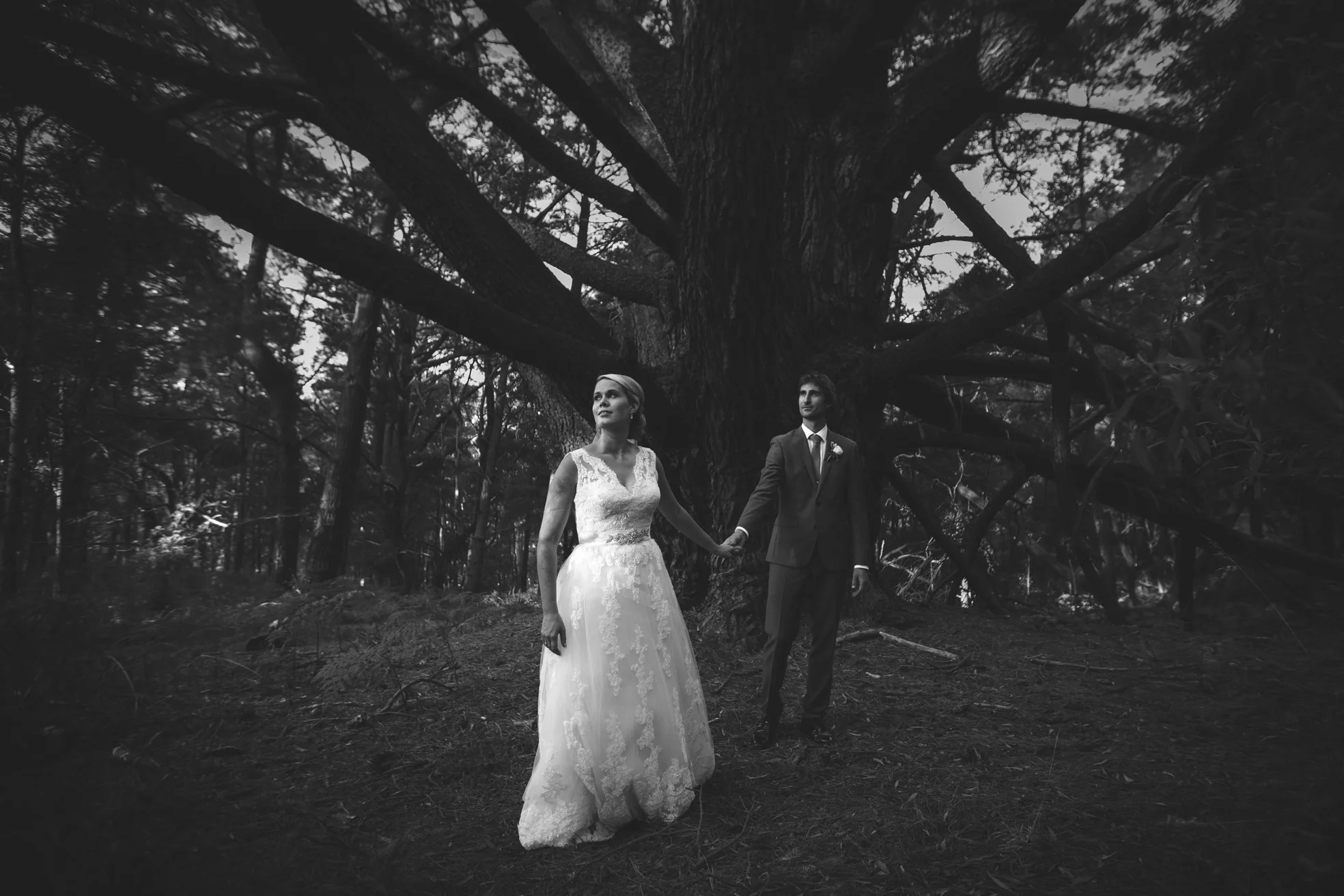 Brisbane Destination Wedding Photographer, Australian - Montville, Sunshine Coast Hinterland Pre Elopement