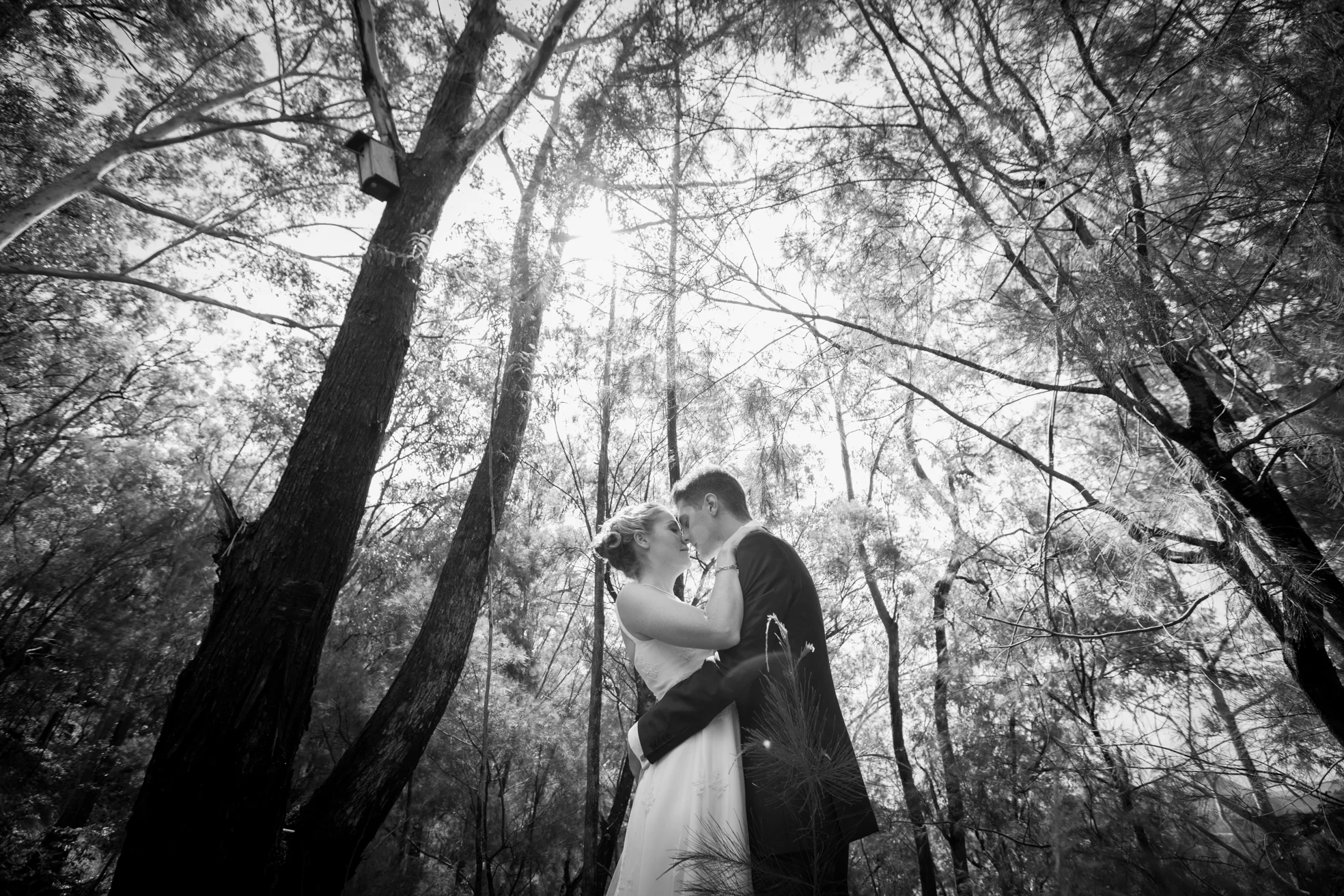 Top Flaxton and Brisbane, Australian Wedding Day - Noosa, Sunshine Coast Pre Destination Photographers