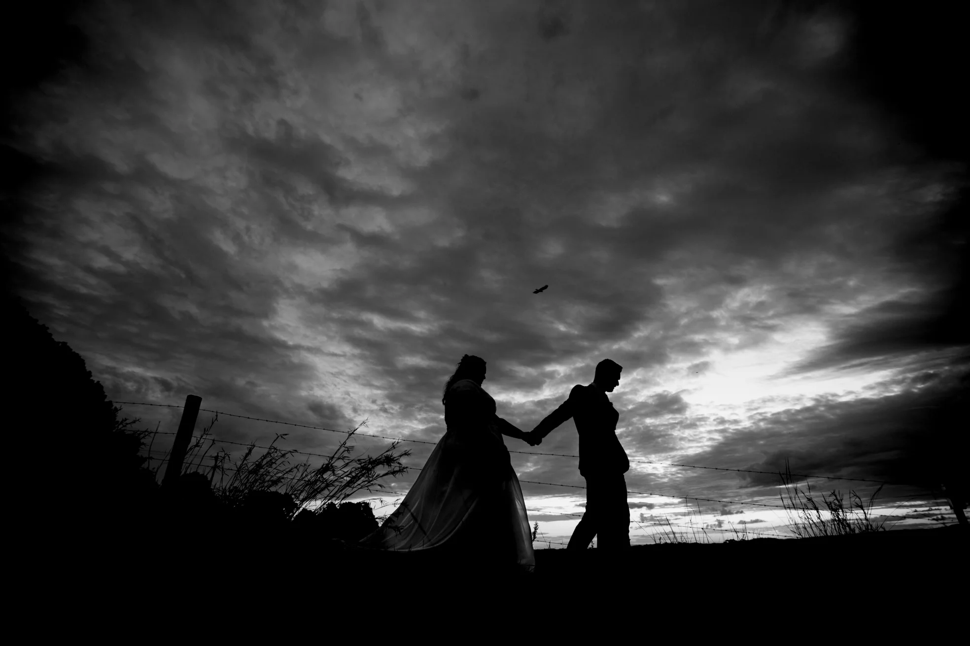 Top Brisbane, Australian Destination Pre Wedding Photographers - Noosa, Sunshine Coast Elopement