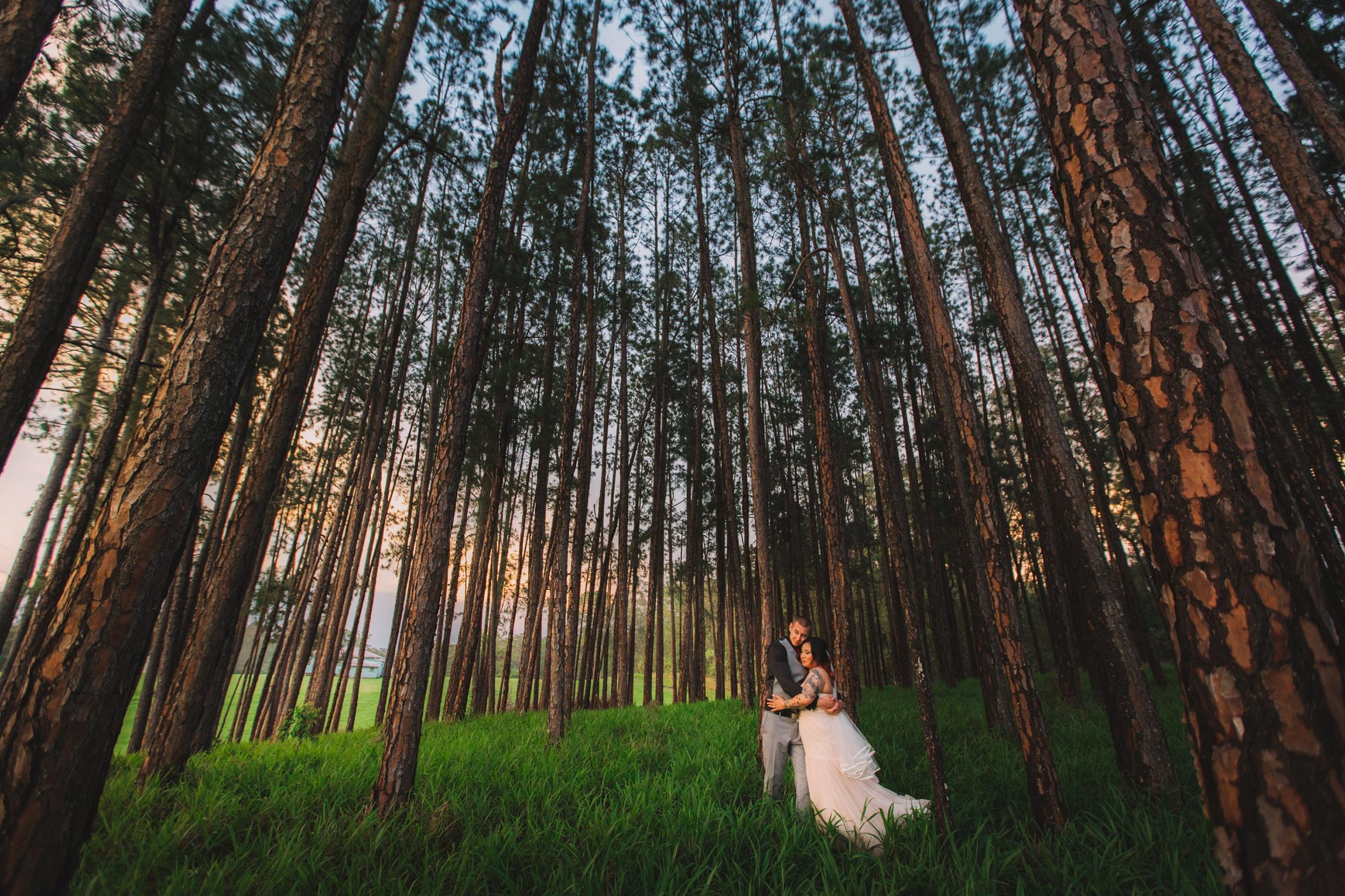 Peachester and Brisbane Eco Friendly Pre Wedding - Noosa, Sunshine Coast, Australian Destination Photographers