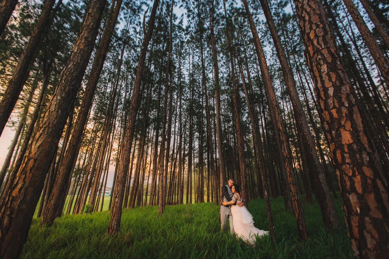 Peachester Wedding - Wendy & Zak (Brisbane), Sunshine Coast Photographers