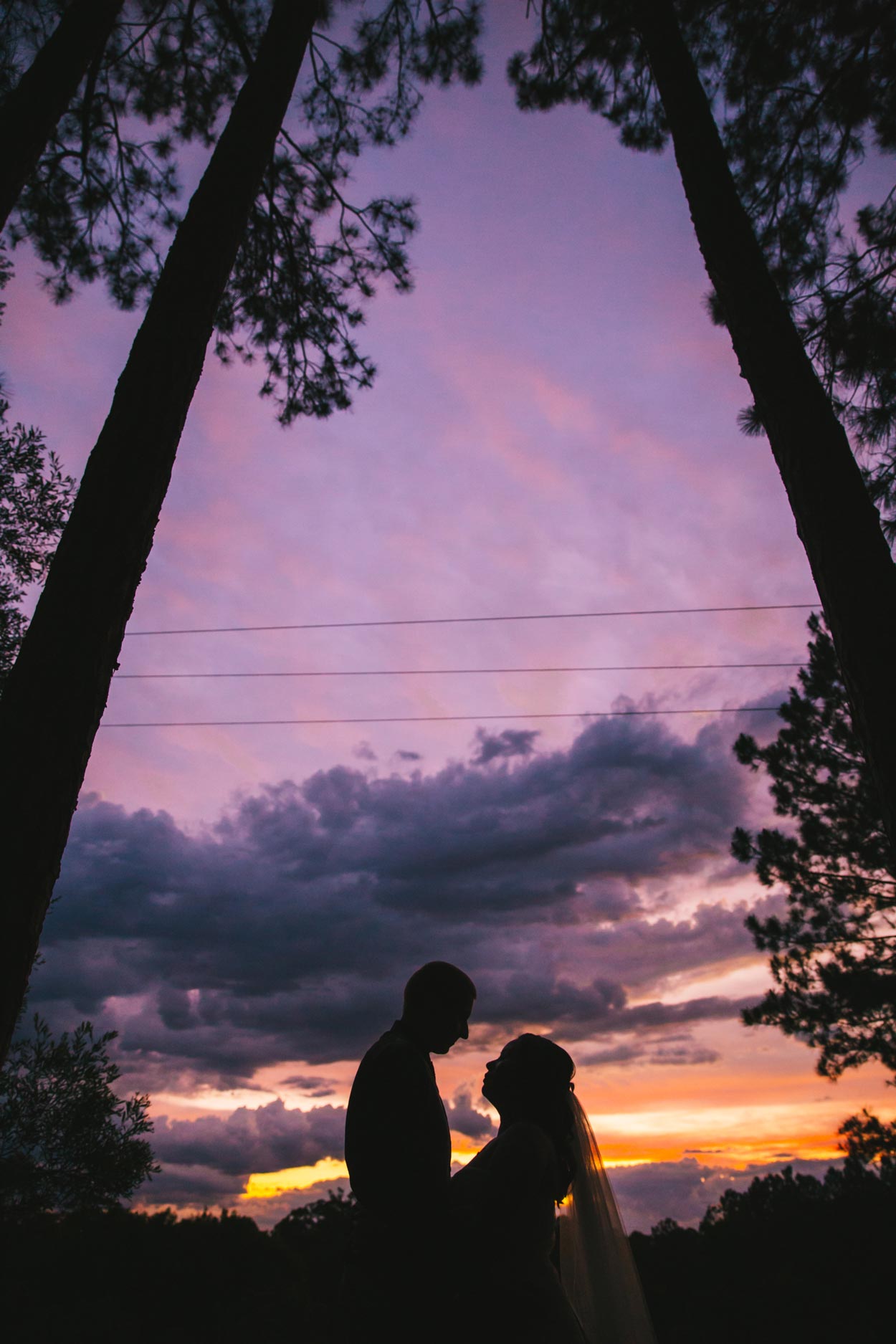 Best Peachester, Brisbane Pre Wedding Destination Photographers - Sunshine Coast, Queensland, Australian Eco Elopement Packages