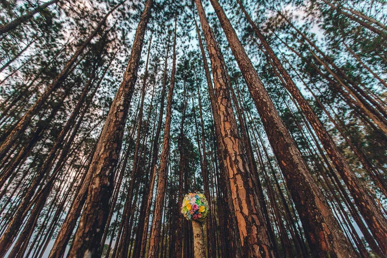 Best of 2015 - Australian Wedding Photographer