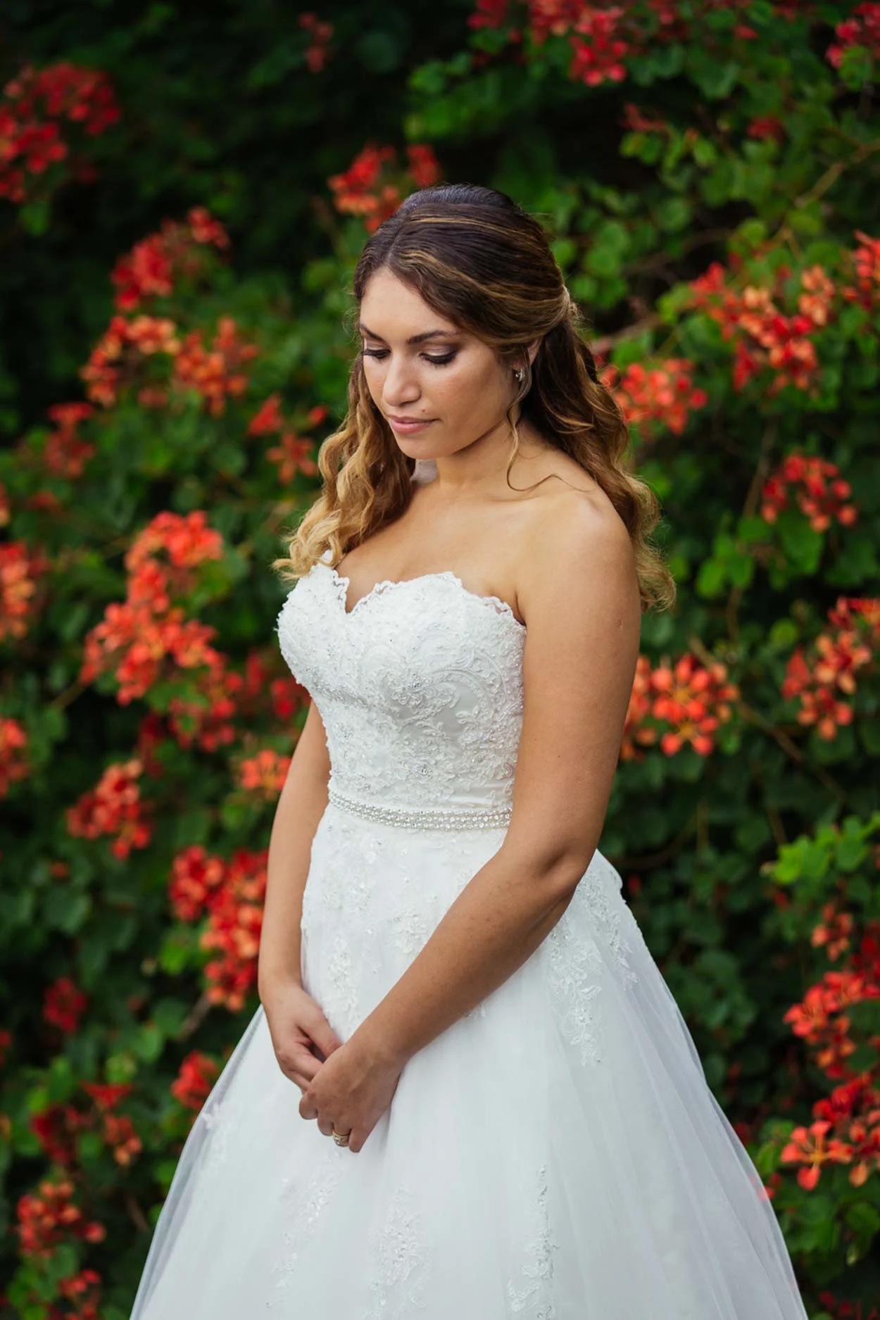 sunshine-coast-destination-wedding-photographers-brisbane-queensland-australian-maleny-noosa-beach-hinterland-montville-flaxton-gold-caloundra-elopement-photos-best-recommended-eco-friendly-packages-98.jpg