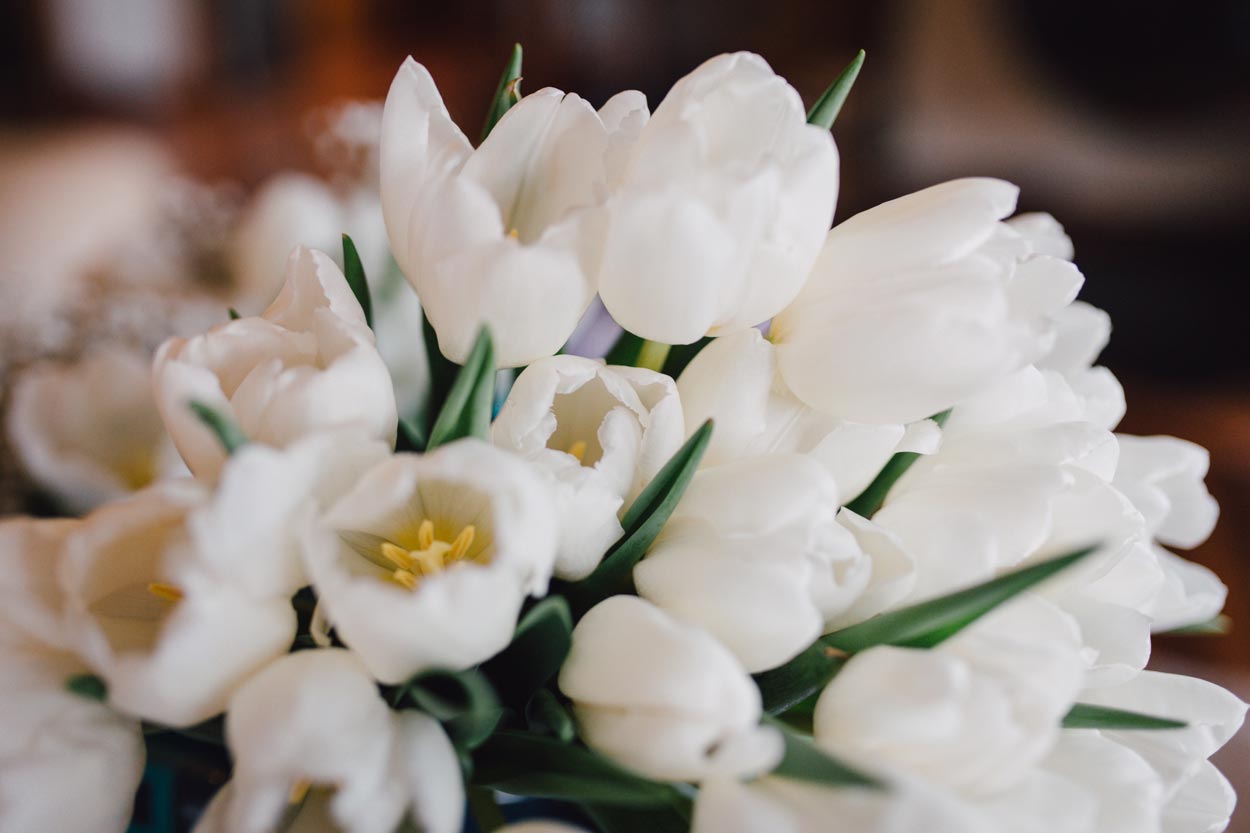 Sunshine Coast, Australian Pre Wedding Destination Bouquet Photographers - Maleny, Brisbane, Queensland Hinterland