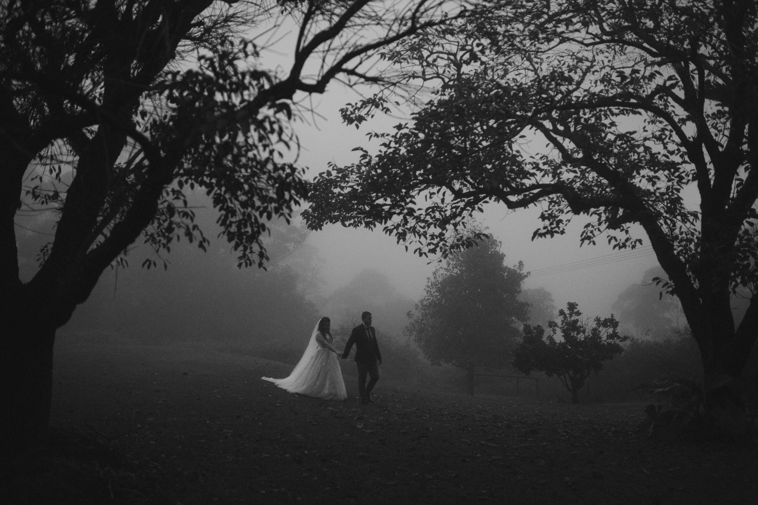 Mapleton Falls, Sunshine Coast, Australian Pre Wedding Photos - Brisbane, Queenlsland Destination Blog Photographer 