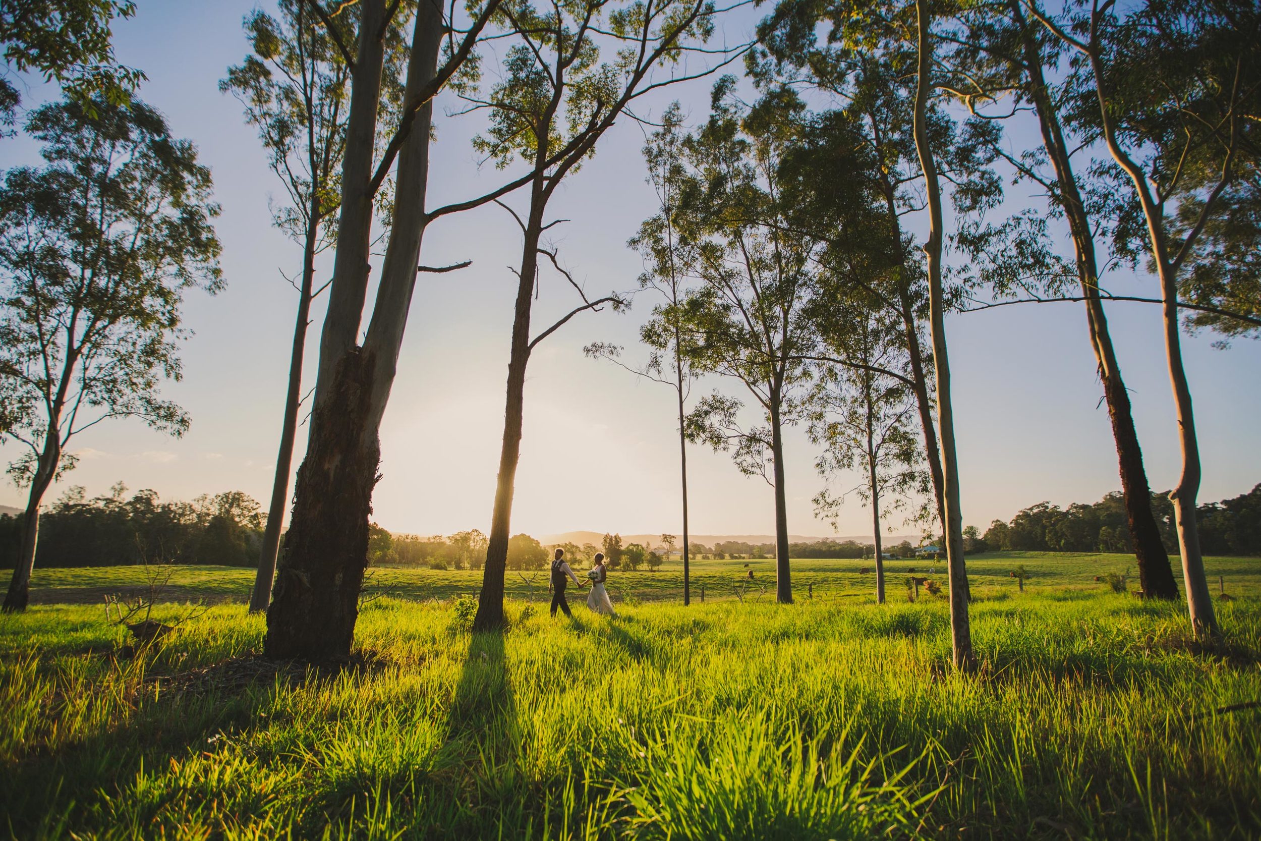 Top Brisbane, Eco Friendly Pre Wedding Blog - Noosa, Sunshine Coast, Queensland, Australian Destination Photographer