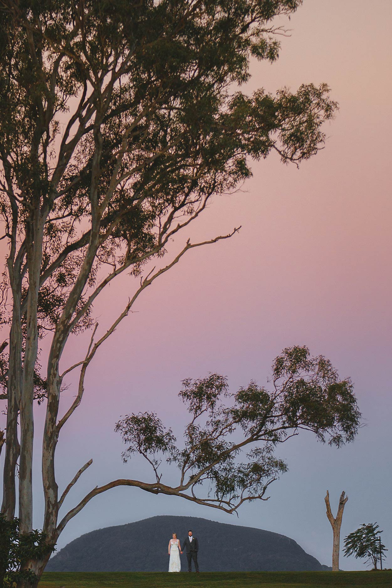 Yandina Station, Sunshine Coast Wedding - Brisbane, Queensland, Australian Pre Destination Photographers