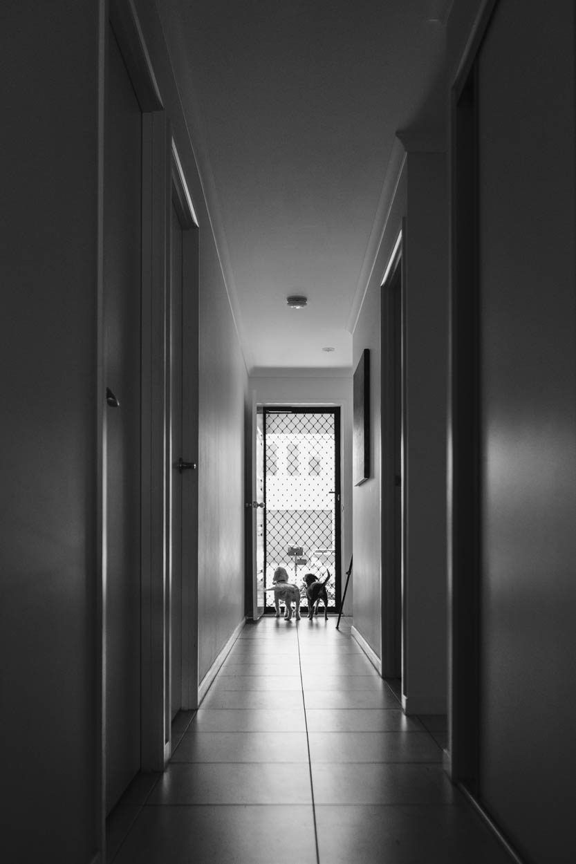 Maroochydore Wedding & Pet Pre Wedding Photos - Brisbane, Sunshine Coast, Australian Destination Photographers