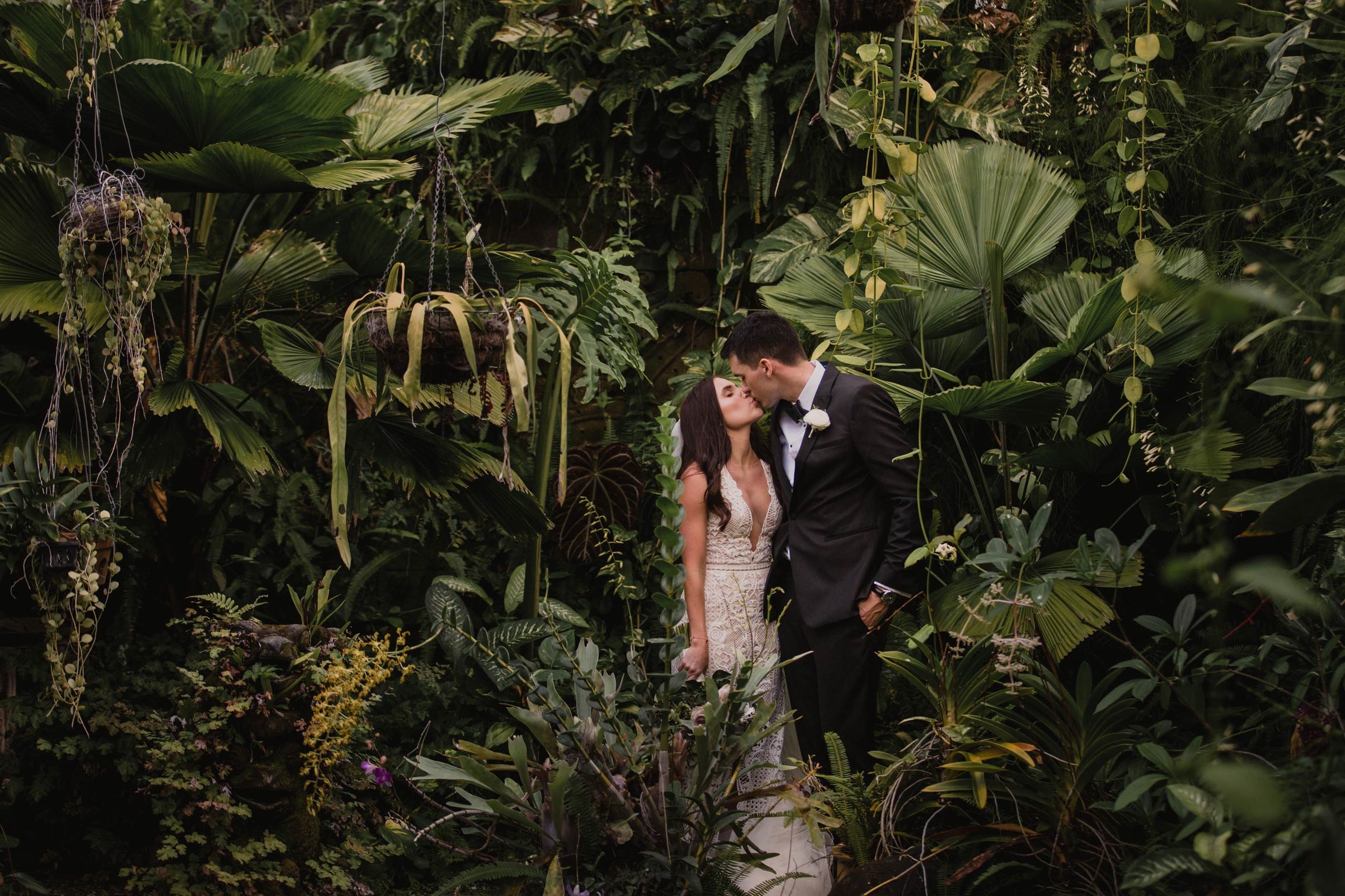 Top Maleny &amp; Noosa Hinterland Destination Wedding Photographers - Sunshine Coast, Queensland, Australian Pro Pics