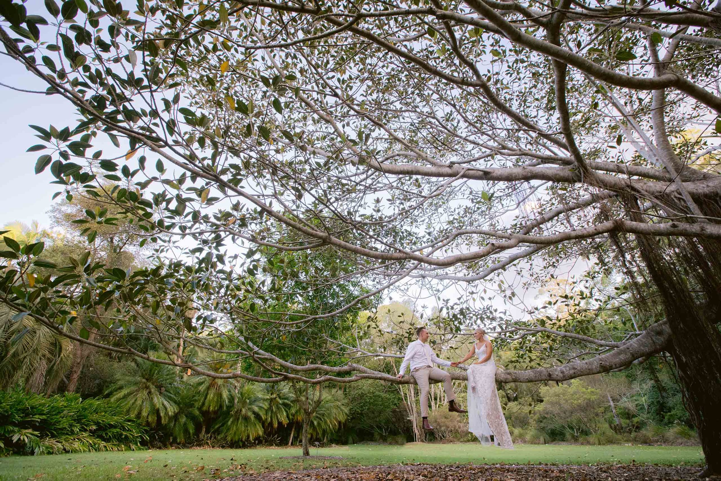 Noosa Botanic Gardens, Destination Wedding Photographer - Best Sunshine Coast, Queensland - Australian Bridal Blog Pics
