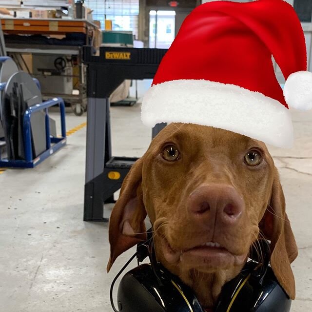 Jane the shop dog and all of us at FABHAUS would like to wish everyone a very safe and happy Christmas! 2019 has been our busiest year yet since we incorporated five years ago. Stay tuned for some exciting highlights!
.
.
.
#fabhaus #shop #fabricatio