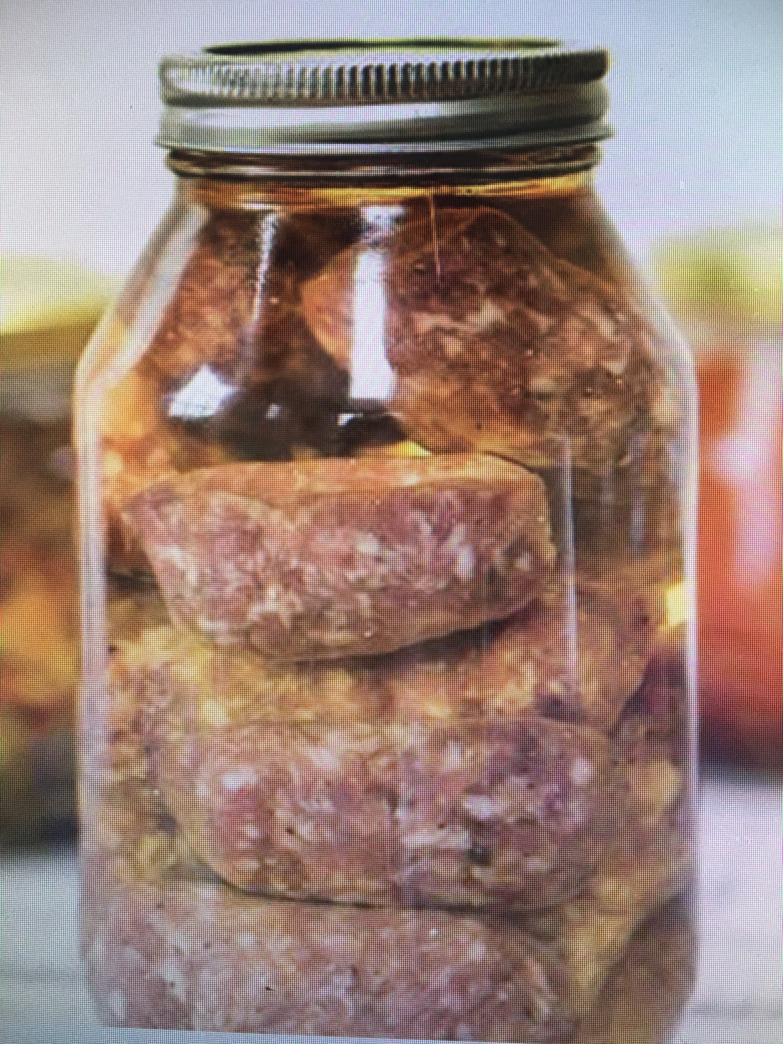 Sausage Preserves