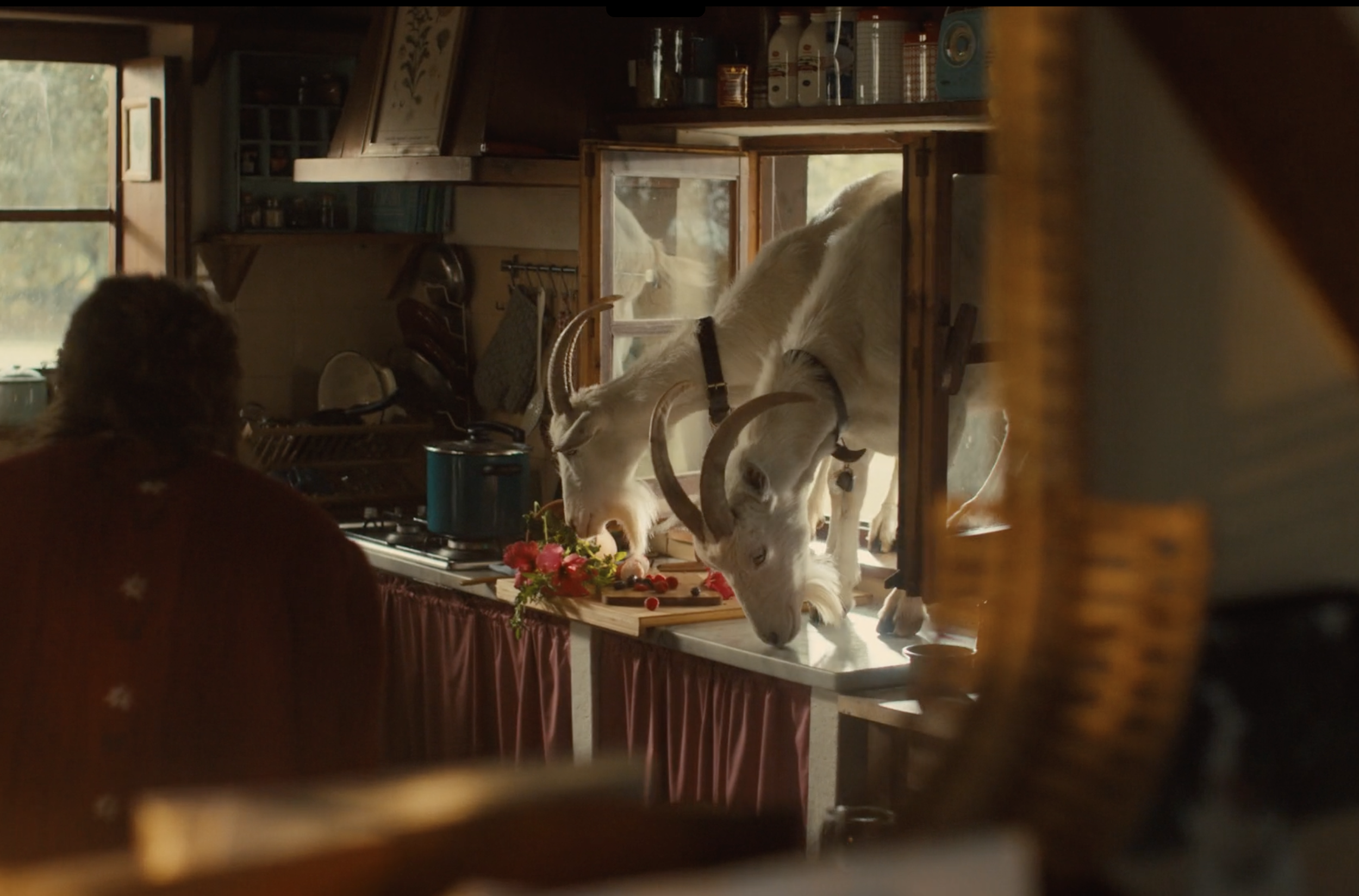 Screenshot 2026-02-15 at 7.38.29 PM.png