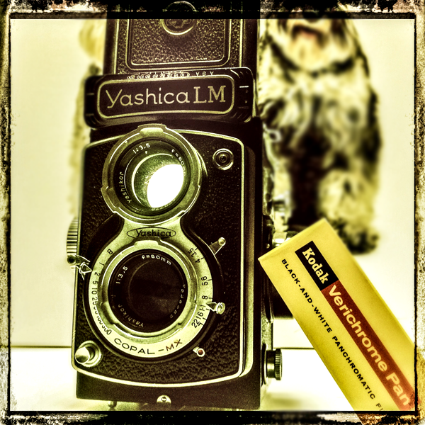 Yashica LM Twin-Lens Reflex