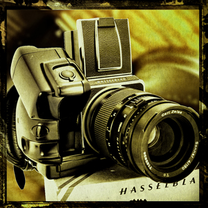 Hasselblad 503cw