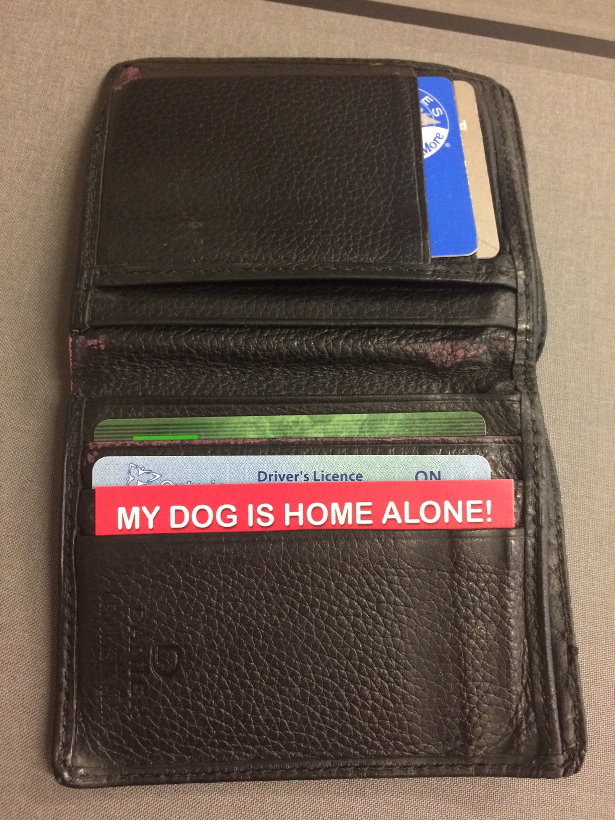 The "My Dog is Home Alone" Card in action!
