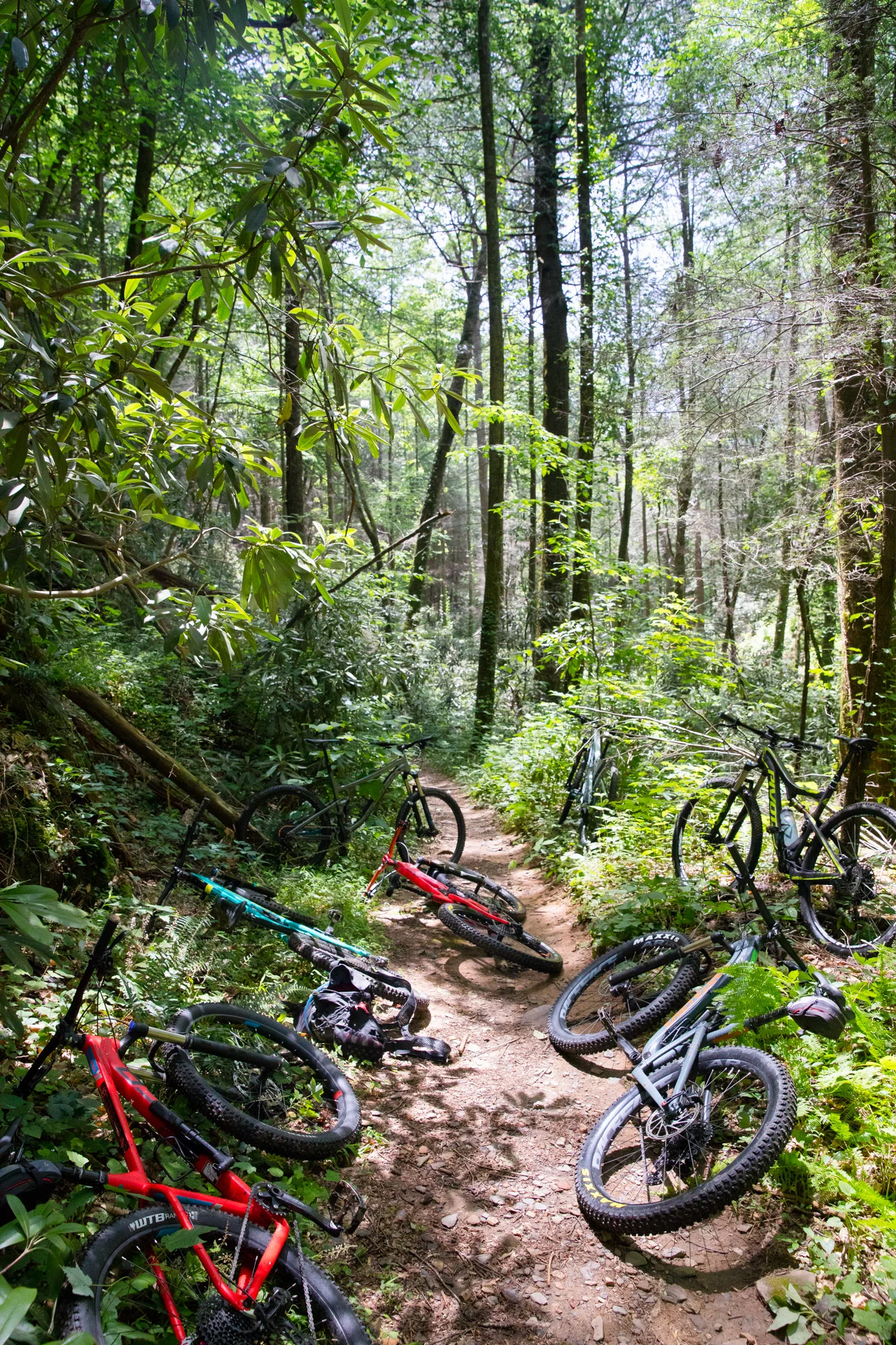 swiftwick_summer_2017_compressed -20.jpg