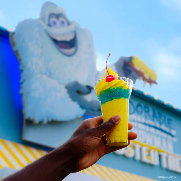 0618_DCA_AdorableSnowmanCone_DSCF1440MH-1x1-edit_V2.jpg