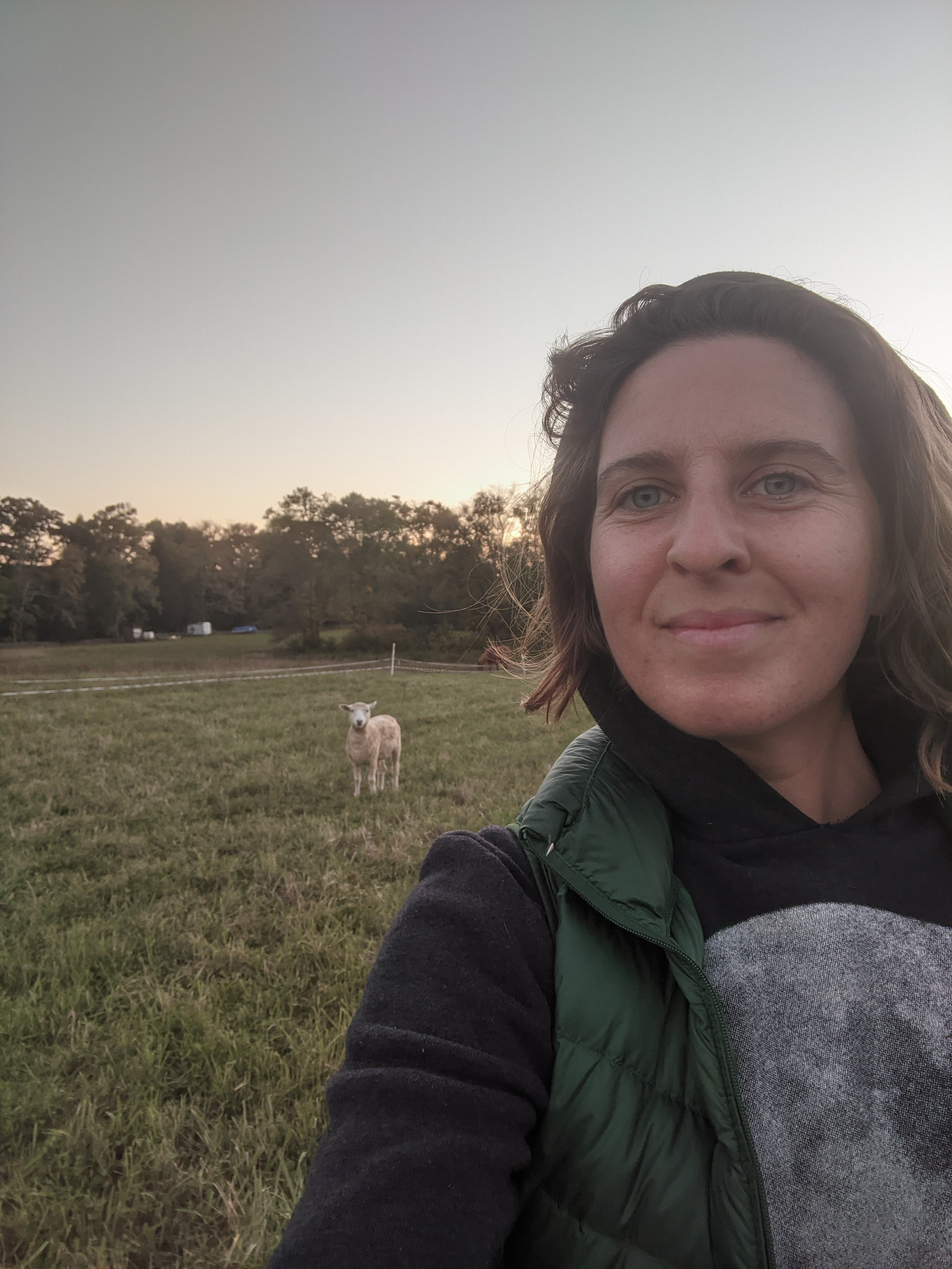 Sarah from Osamequin Farm