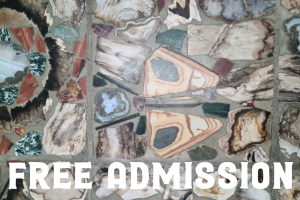 Free Admission