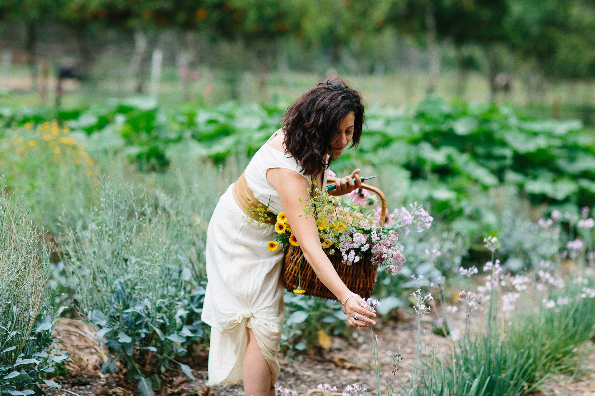 Hidden Valley Harvest web res-36.jpg