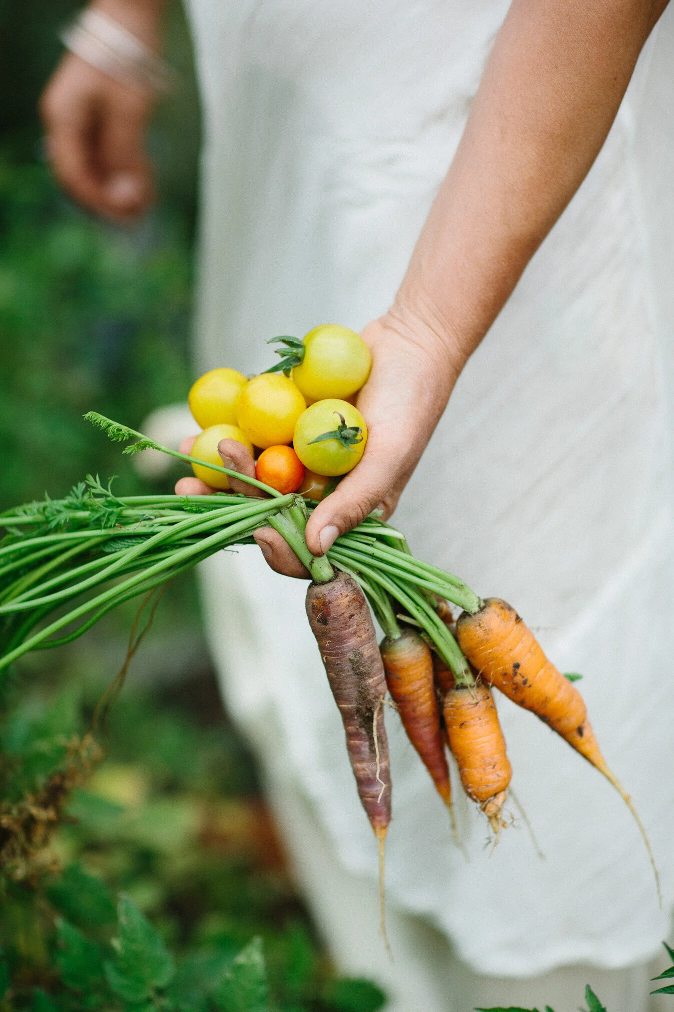 Hidden Valley Harvest web res-43.jpg