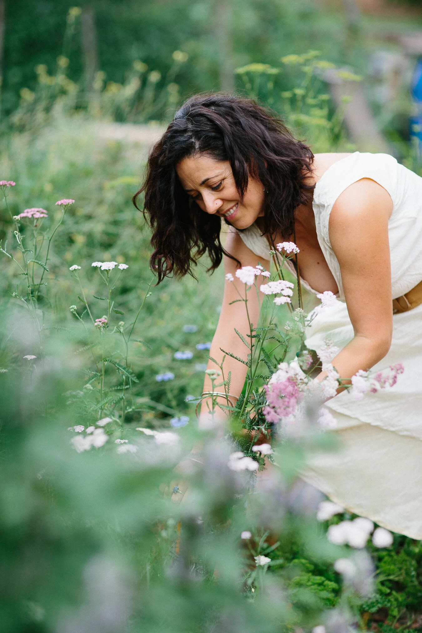 Hidden Valley Harvest web res-2.jpg