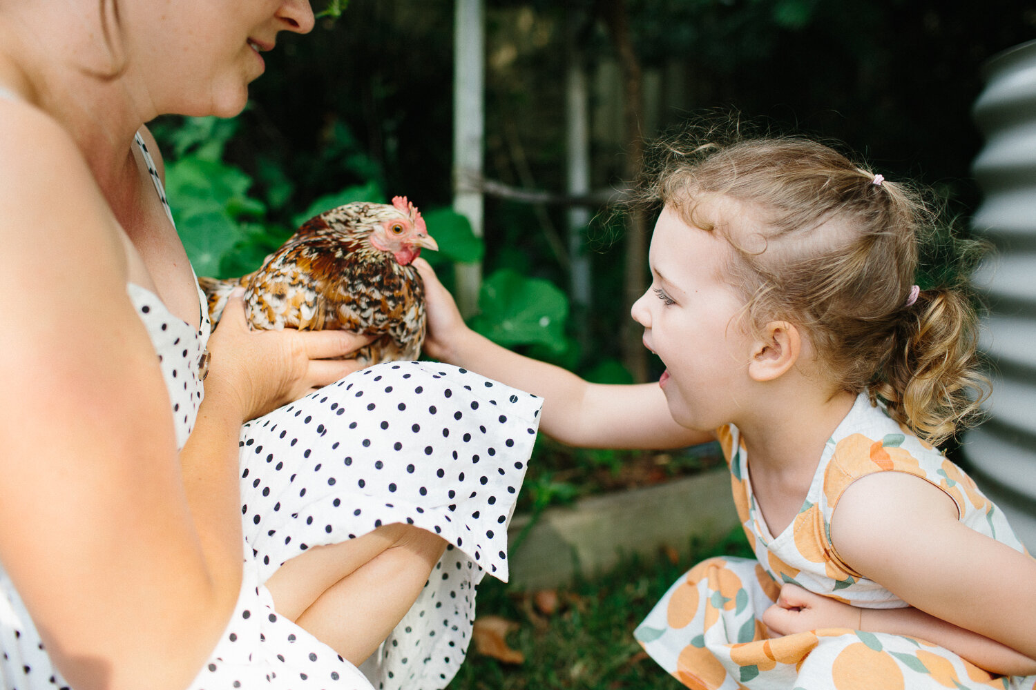 Central Coast Family Photographer, Spoon Bay. Sandra Henri Photography-14.jpg