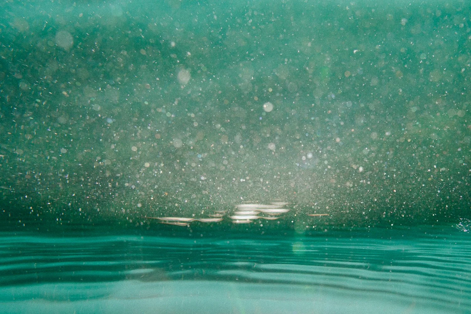 Sarah - underwater pregnancy photography - web res-52.jpg