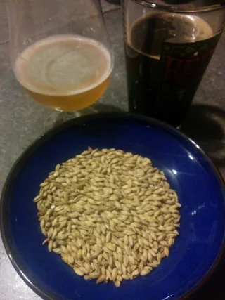 Before the grain was spent....I love this stuff. I am going to try sprinkling it on a salad......