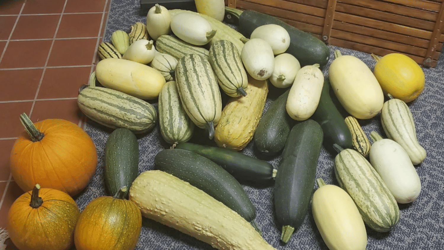 Zucchini and Squash