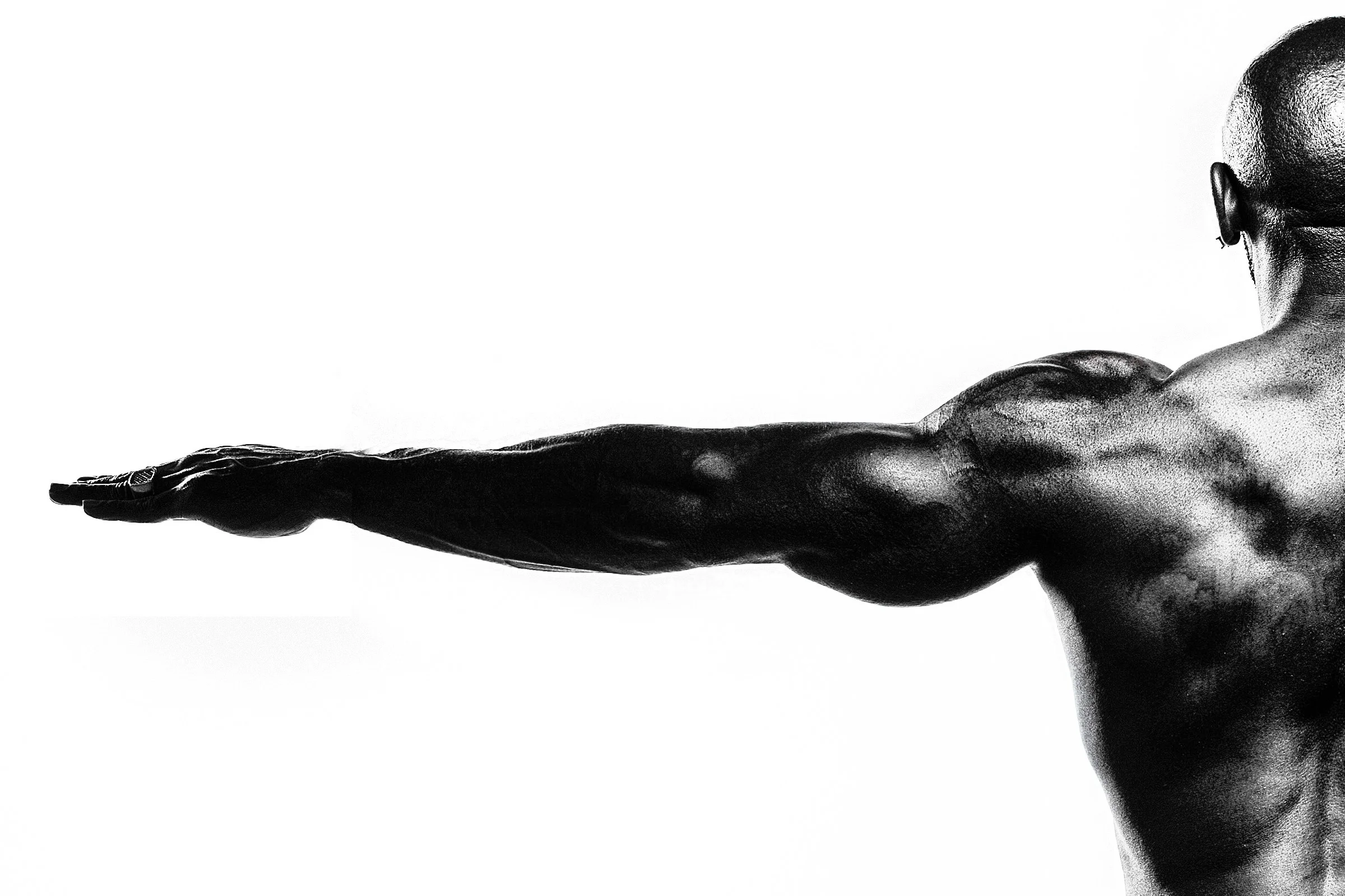 Rashidi 1 for port.jpg