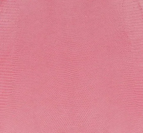FLAMINGO PINK JAVA LIZARD 