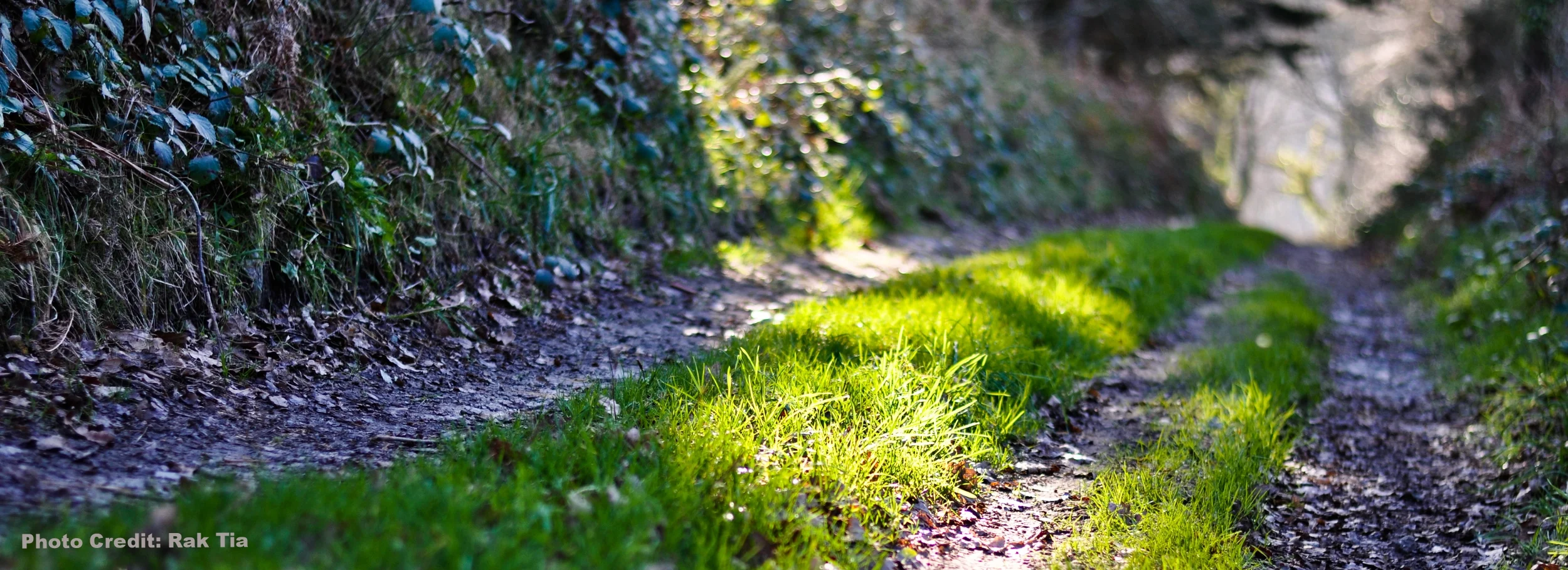 7 Ways to Experience Jesus Before You Believe in Him