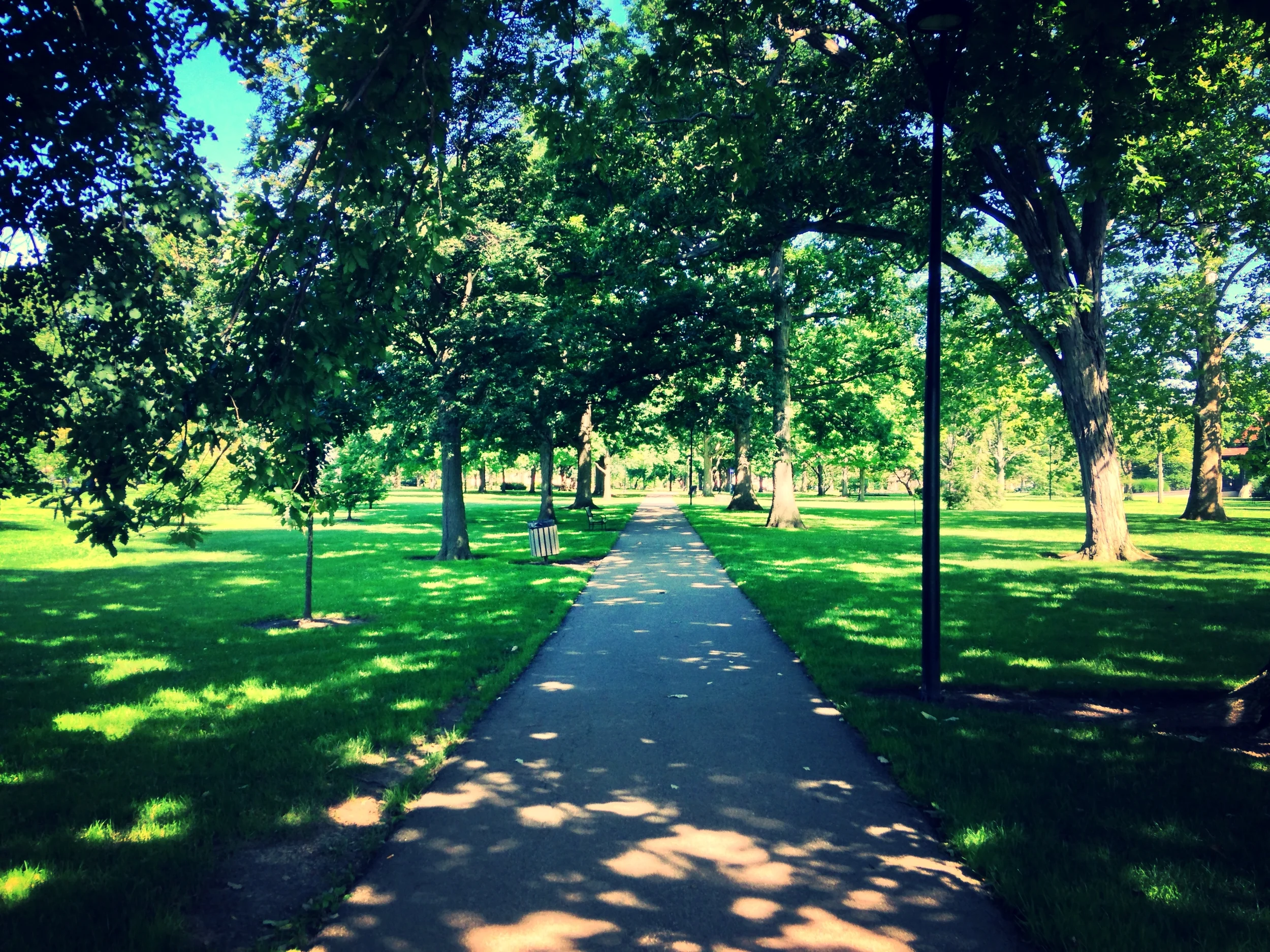 Steps to Make Disciples