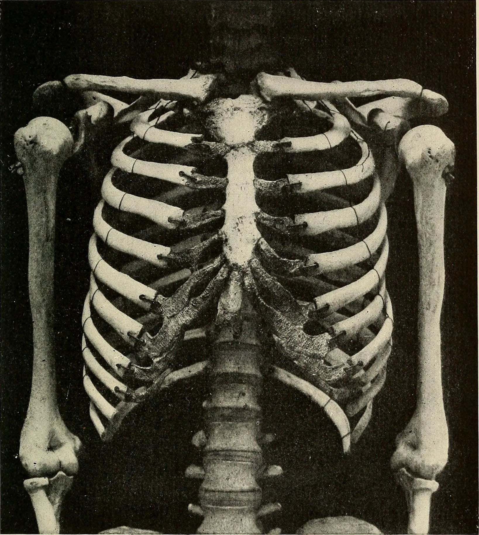 Dead Spirits and the Scientific Method