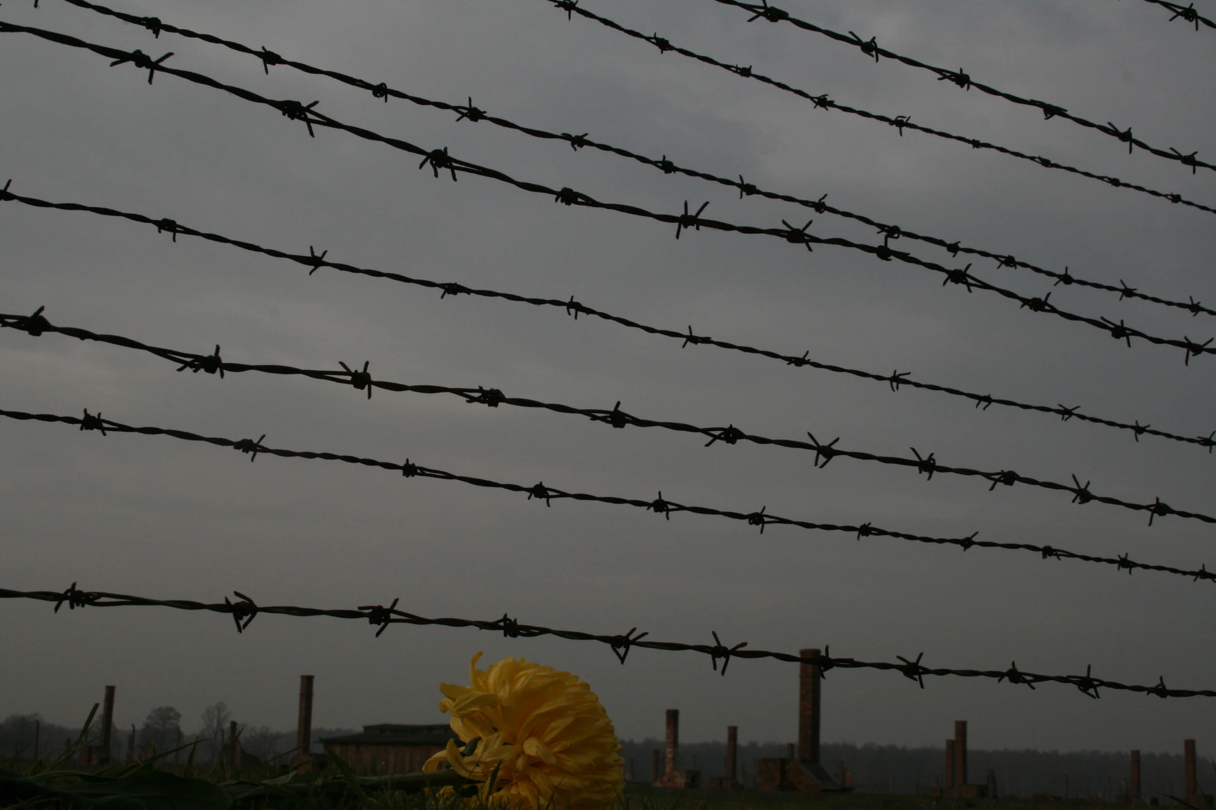 Citizen of Jesus' Kingdom, Enemy of Man's