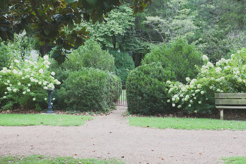 A wonderful location for a first look on your wedding day or bridal portraits.