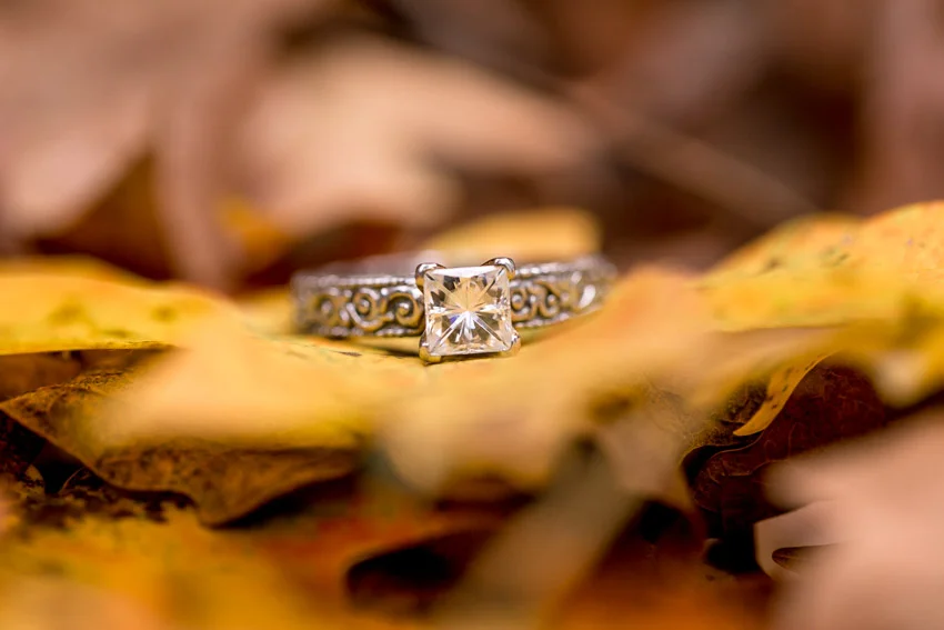 engagement-rings-on-leaves.jpg