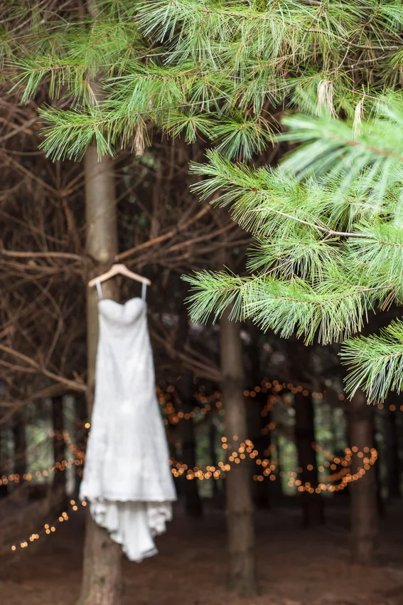 pine-forest-wedding-with-twinkle-lights.jpg