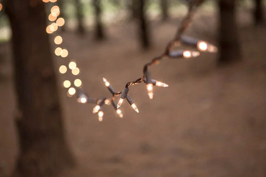 wedding-day-string-lights.jpg