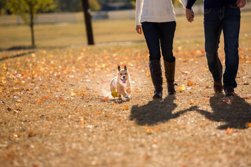 cute-dog-engagement-session-franklin.jpg