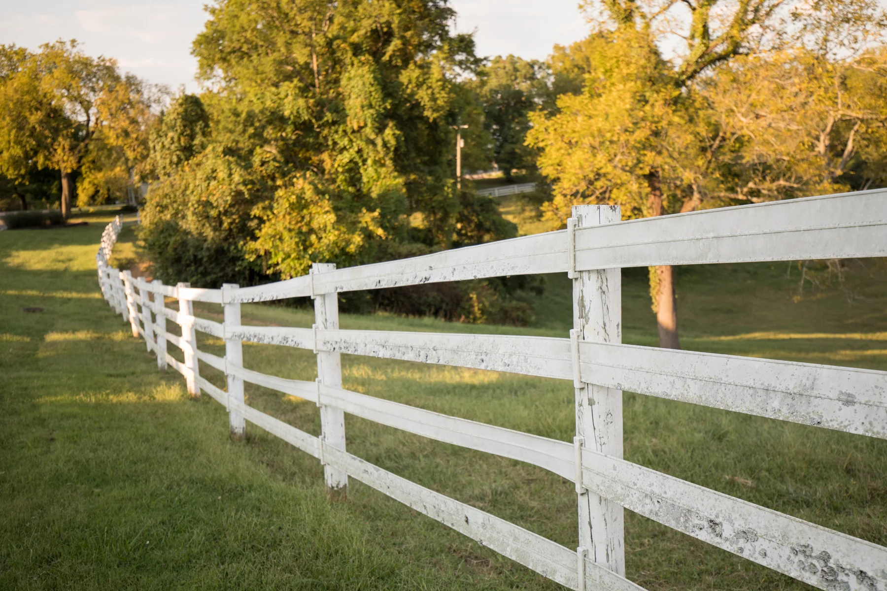 Lauren-and-Johnathan-enagement-sneak-peak-0031.jpg