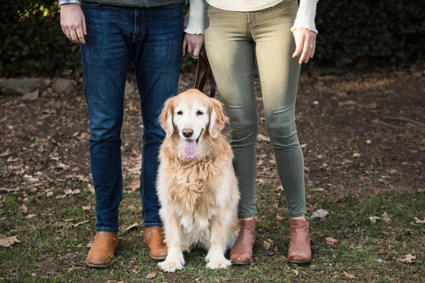 Lauren-and-Grant-Engagement-Centennial-Park-Nashville-Sneak-Peak-0007.jpg