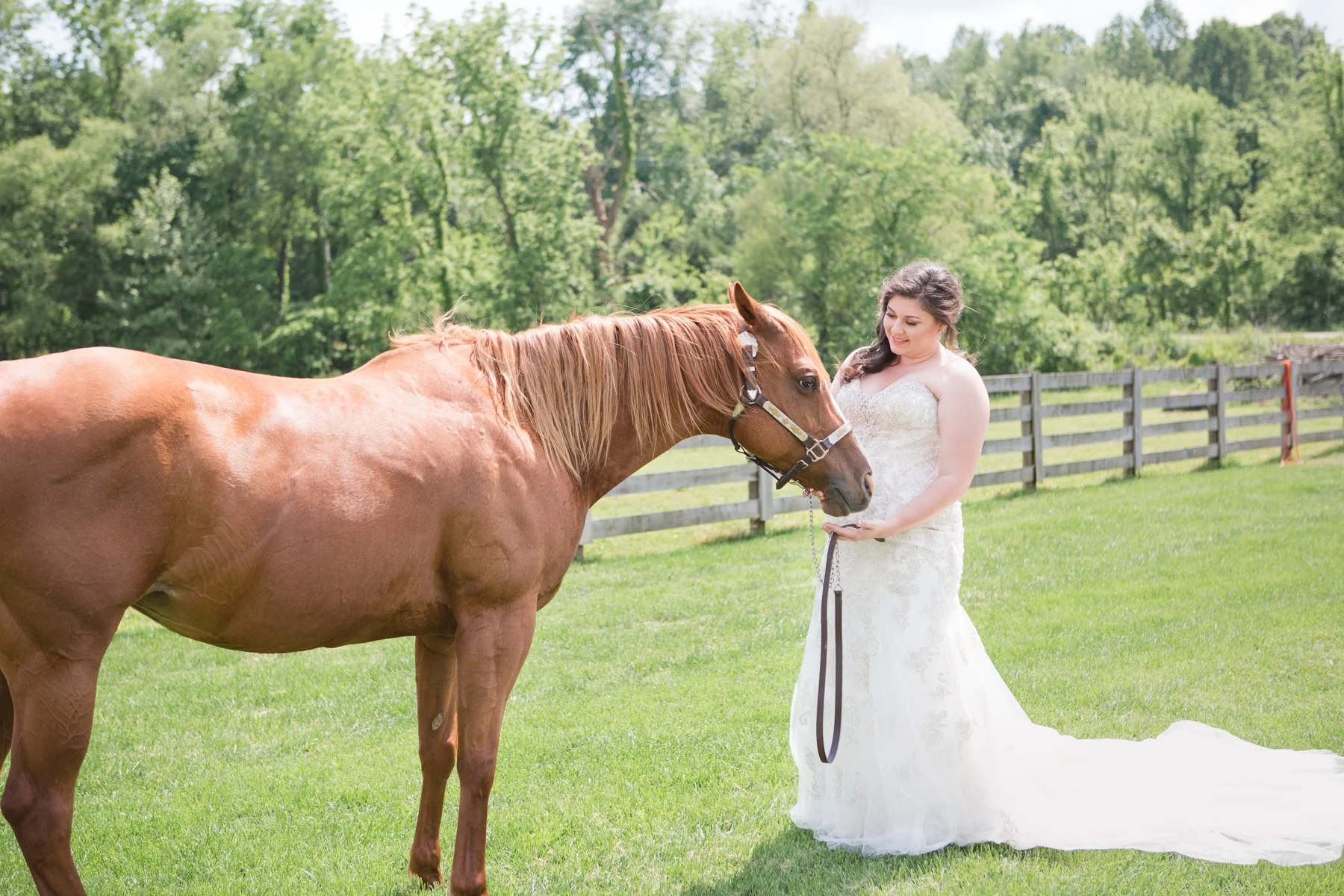 bride-with-horse-cactus-creek-barn.jpg