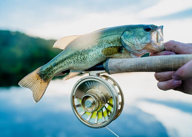 Here's to kickin' bass this week.⠀
⠀
#kansasoutdoorcorps #kansas #bass #bassfishing #noplacelikeks #redingtongear #flyfishing #onthefly  #fishing #catchandrelease #outdoors #flyfish #adventure #fishinglife #photography #findyourwater #rioproducts